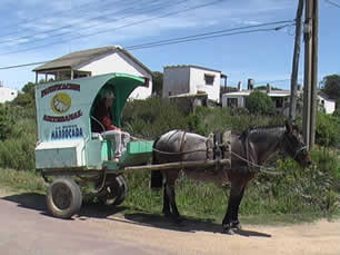 La jardinera repartiendo pan
